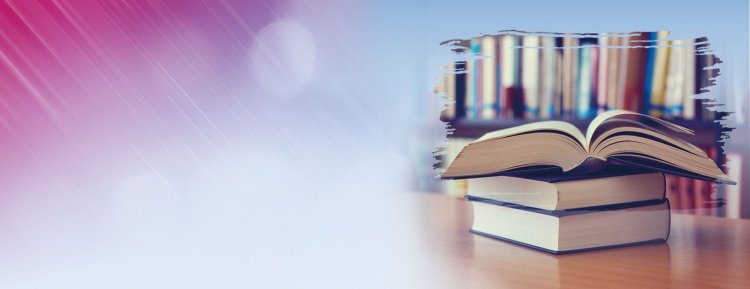 Формирование читательской грамотности при реализации ФГОС начального общего образования